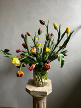 Load image into Gallery viewer, Mother's Day Special Tulip Arrangement
